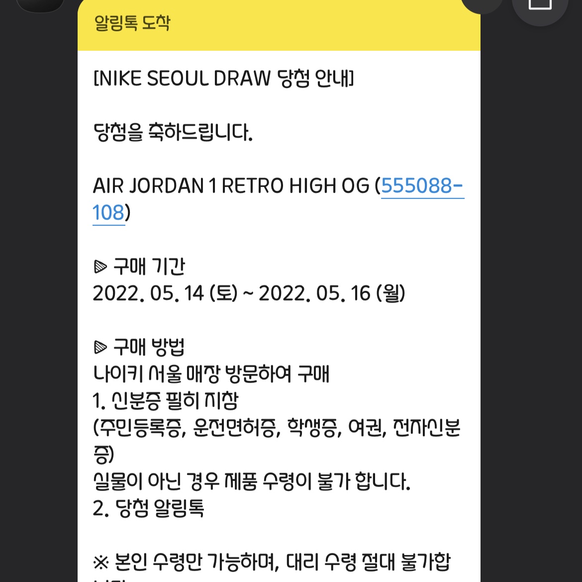 Jordan 1 Retro High OG Bleached Coral 착용 스타일