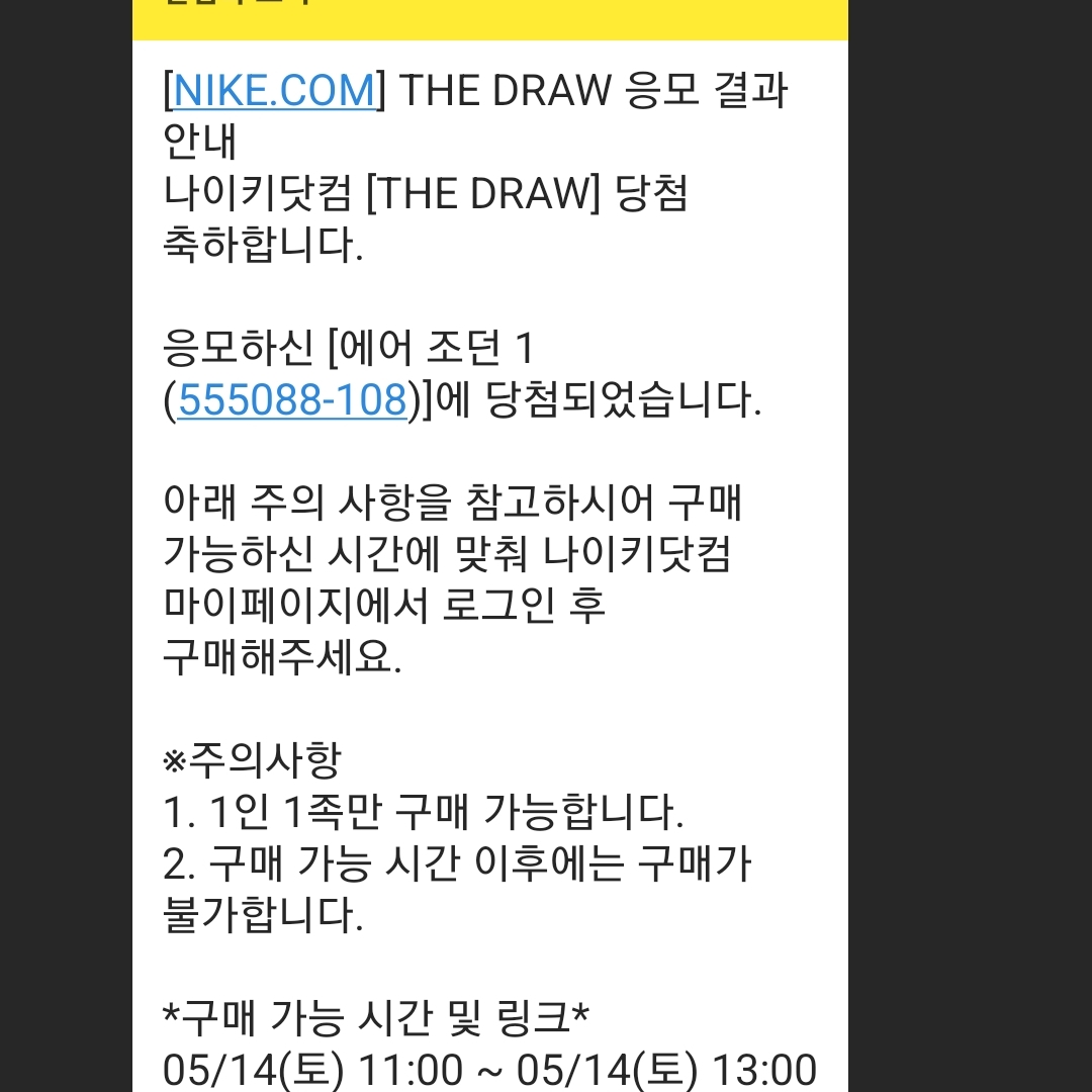 Jordan 1 Retro High OG Bleached Coral 착용 스타일