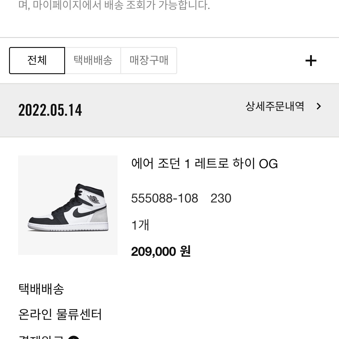 Jordan 1 Retro High OG Bleached Coral 착용 스타일