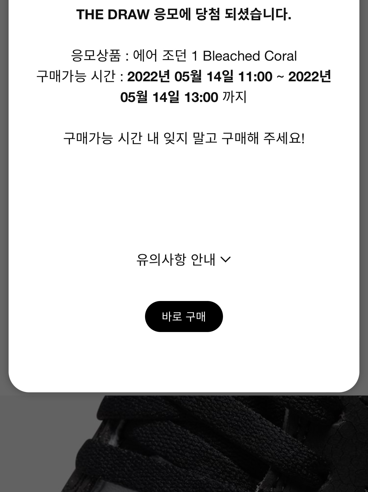 Jordan 1 Retro High OG Bleached Coral 착용 스타일 - 2