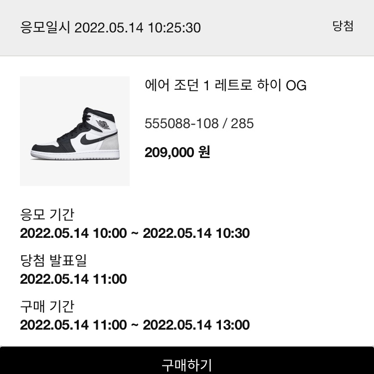 Jordan 1 Retro High OG Bleached Coral 착용 스타일