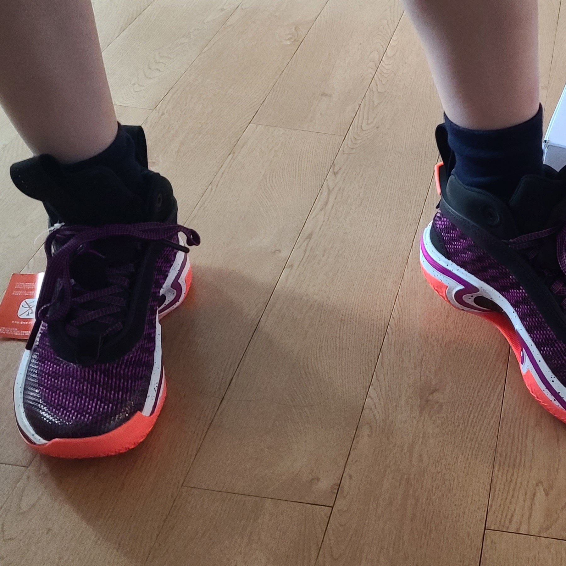 (GS) Jordan XXXVI First Light 착용 스타일