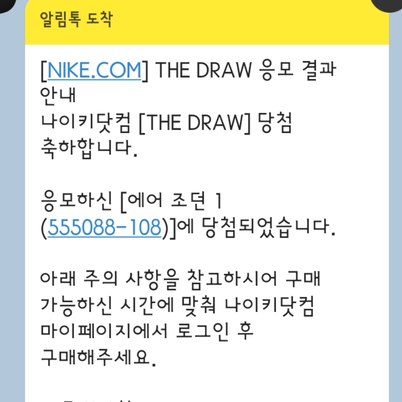 Jordan 1 Retro High OG Bleached Coral 착용 스타일
