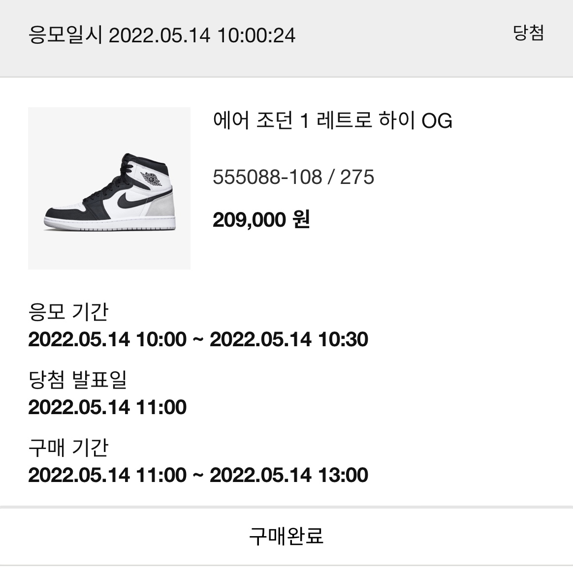 Jordan 1 Retro High OG Bleached Coral 착용 스타일