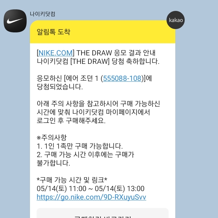 Jordan 1 Retro High OG Bleached Coral 착용 스타일