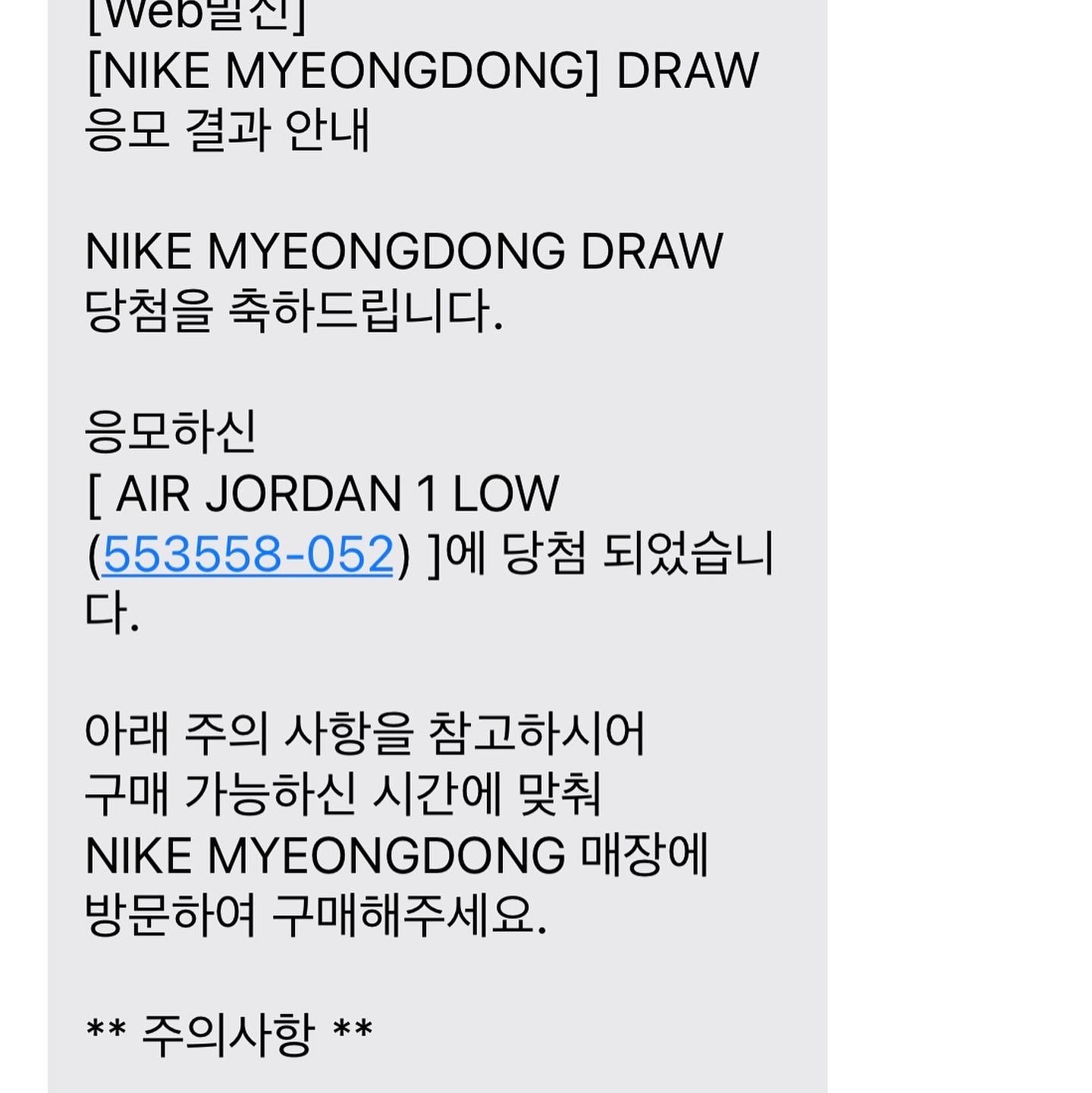 Jordan 1 Low Light Smoke Grey Black 착용 스타일 - 1