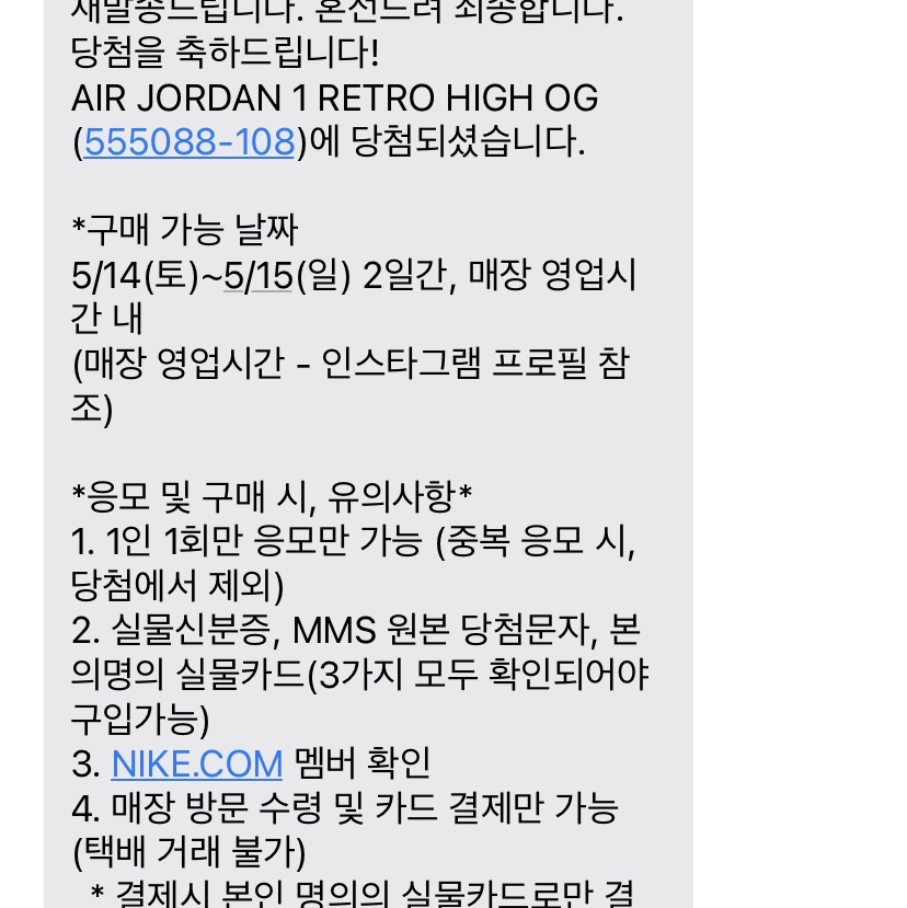 Jordan 1 Retro High OG Bleached Coral 착용 스타일 - 1