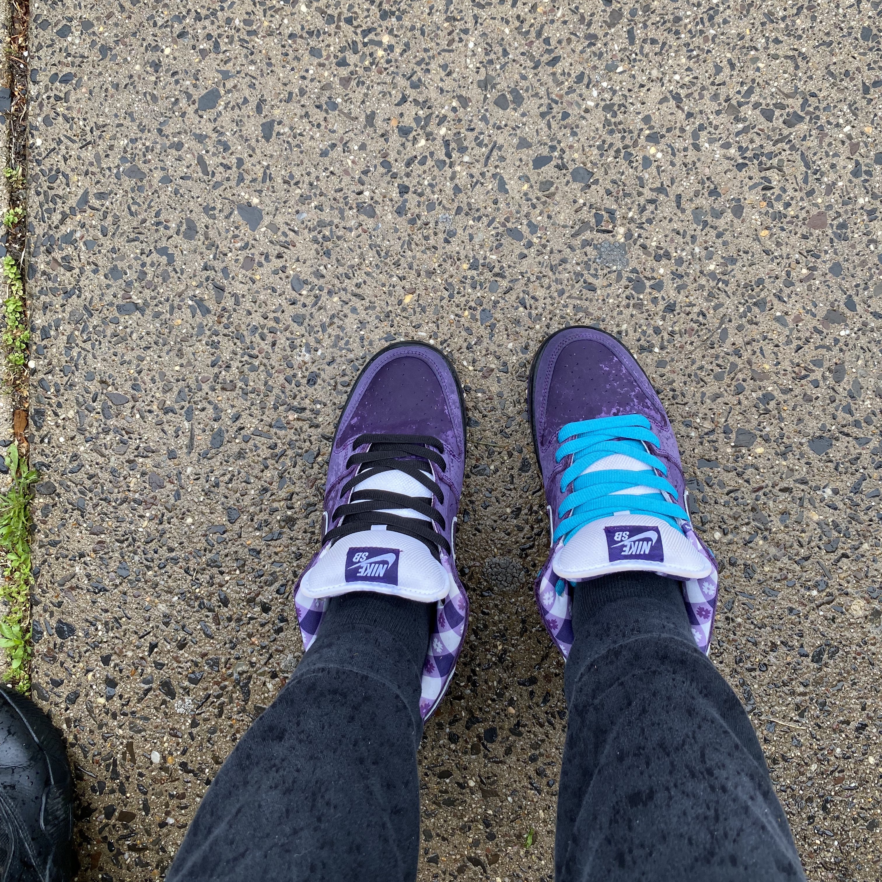 Nike x Concepts SB Dunk Low Purple Lobster (Special Box) 착용 스타일