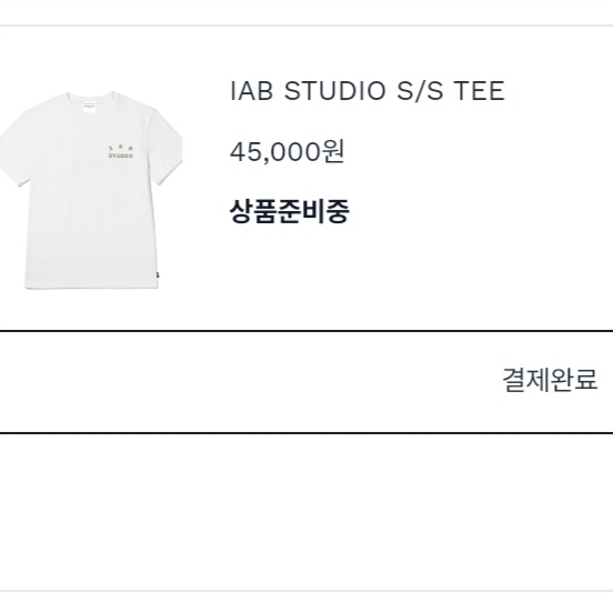 IAB Studio T-Shirt White Light Green 착용 스타일