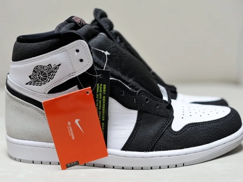 Jordan 1 Retro High OG Bleached Coral 착용 스타일 - 1