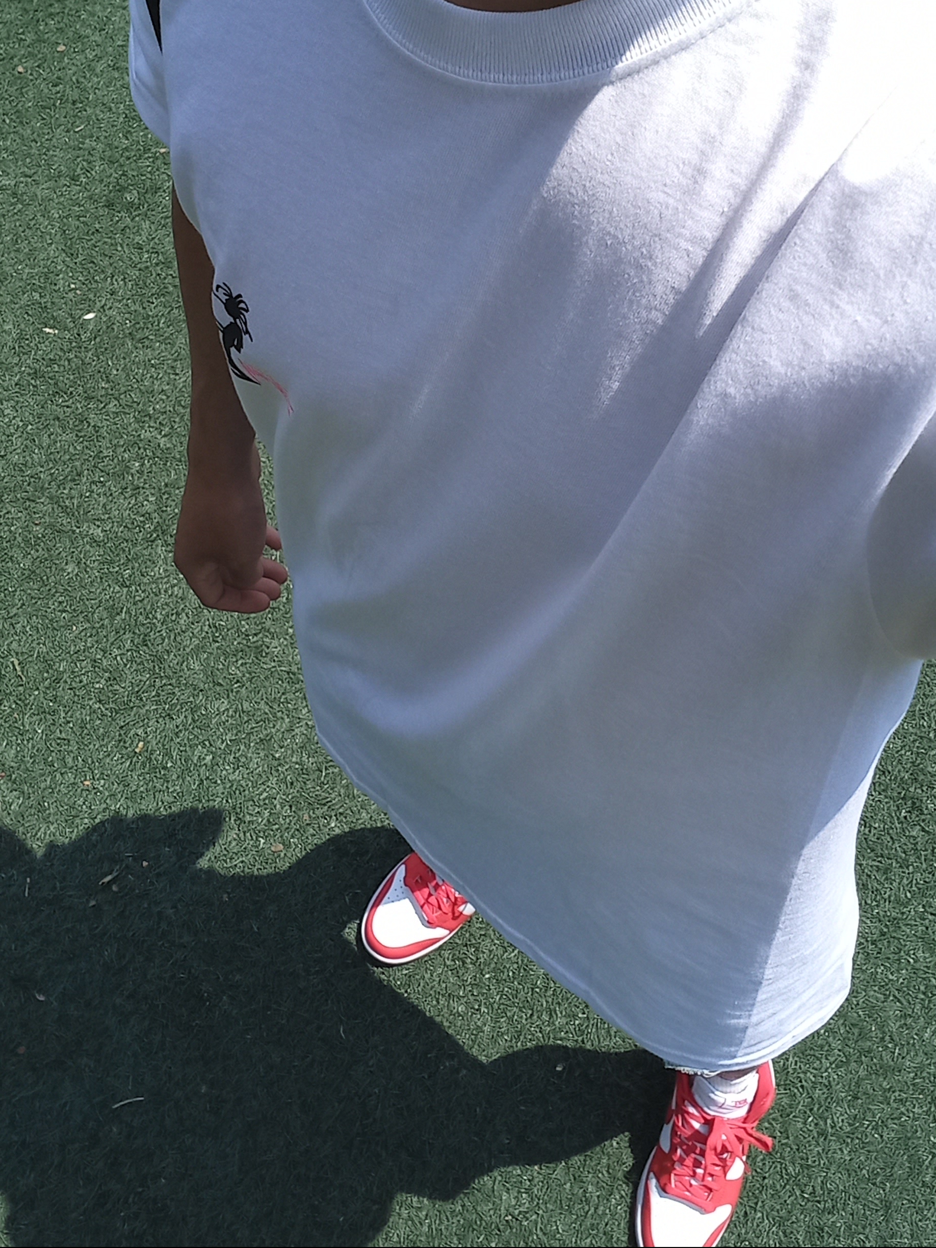 Stussy Chorus and Bridge T-Shirt White, Nike Dunk High Retro Championship White and Red 착용 스타일