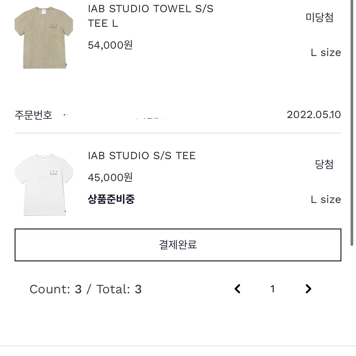 IAB Studio T-Shirt White Light Green 착용 스타일