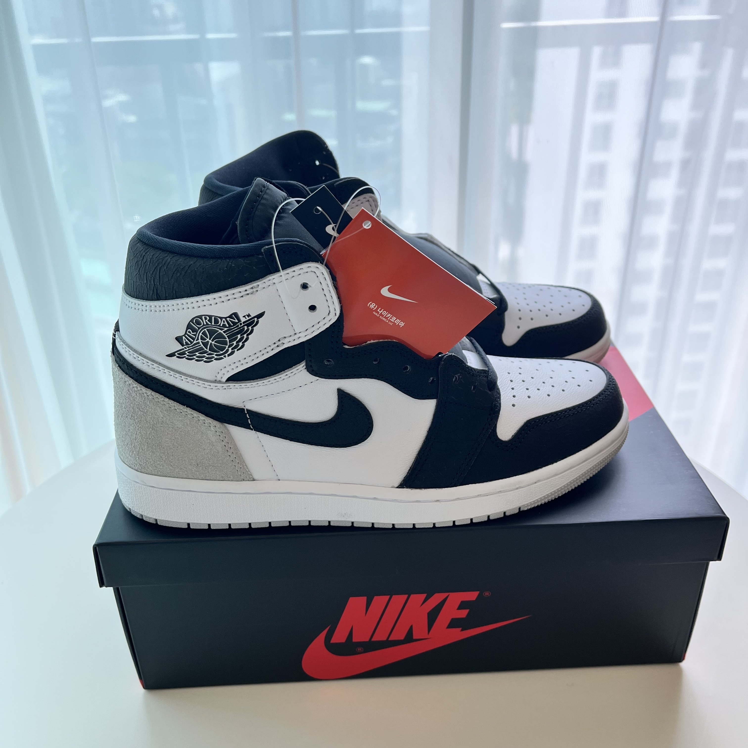 Jordan 1 Retro High OG Bleached Coral 착용 스타일