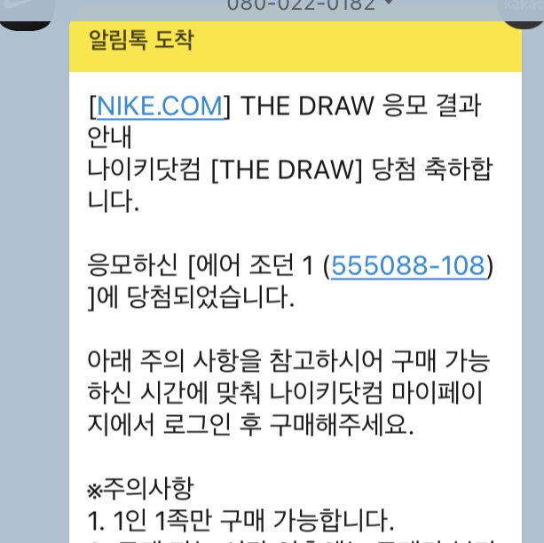 Jordan 1 Retro High OG Bleached Coral 착용 스타일 - 2