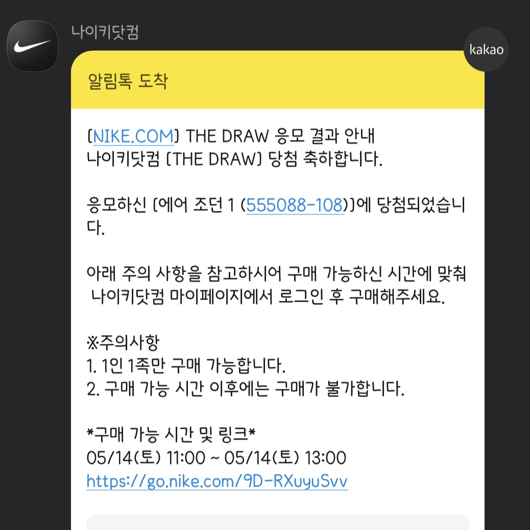 Jordan 1 Retro High OG Bleached Coral 착용 스타일 - 3