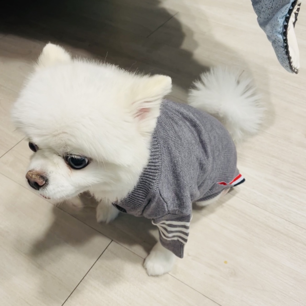 진수님의 스타일 - 2