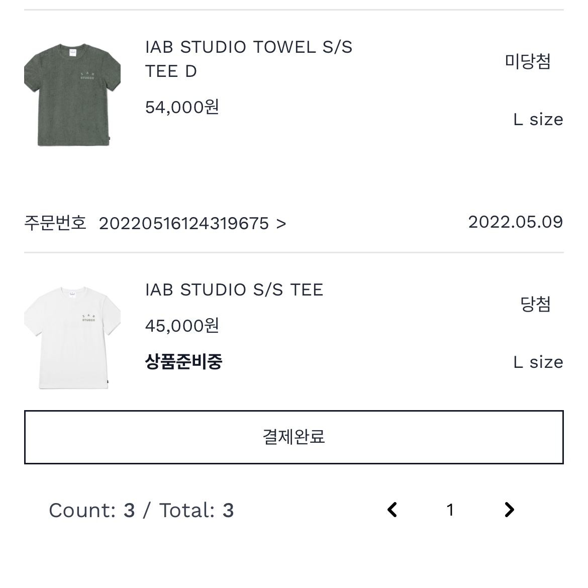 IAB Studio T-Shirt White Light Green 착용 스타일