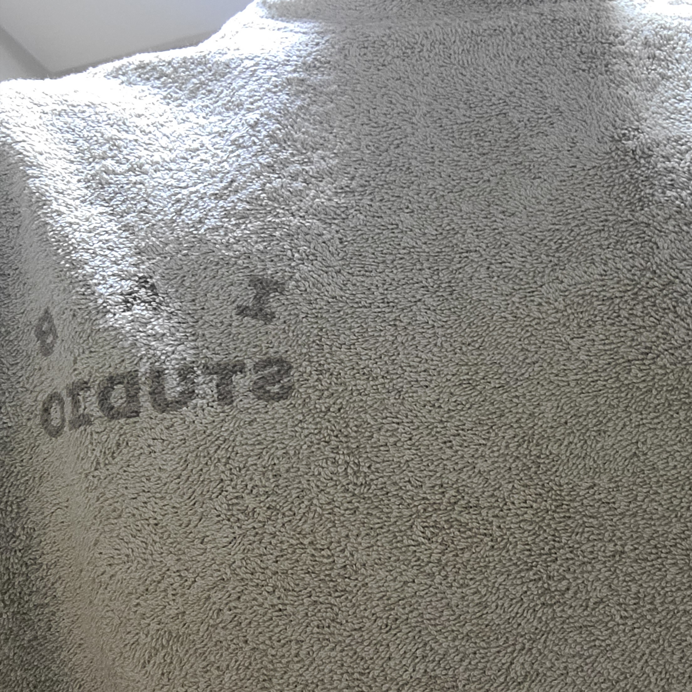 IAB Studio Towel T-Shirt Light Green 착용 스타일