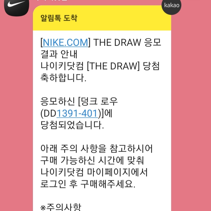 Nike Dunk Low Retro Racer Blue and White 착용 스타일