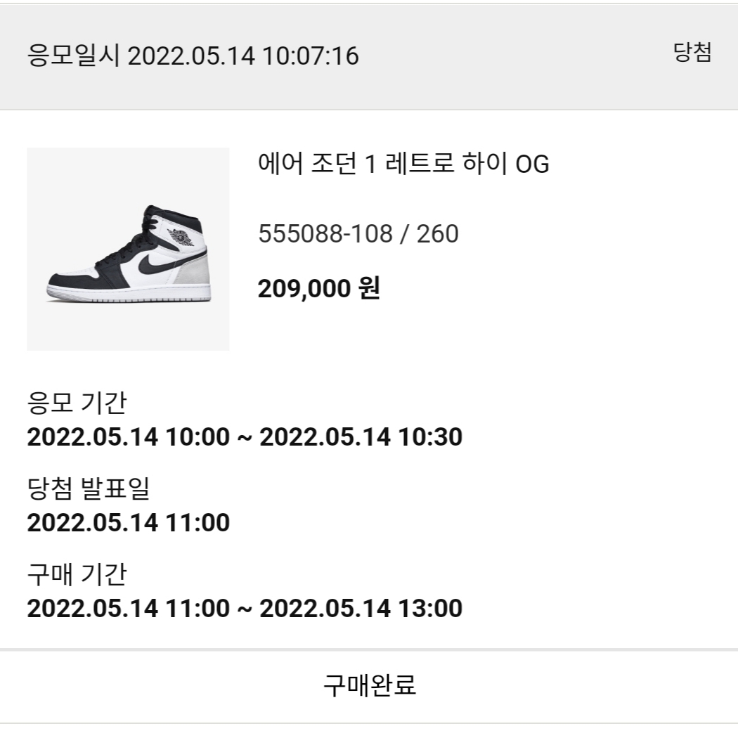 Jordan 1 Retro High OG Bleached Coral 착용 스타일 - 3