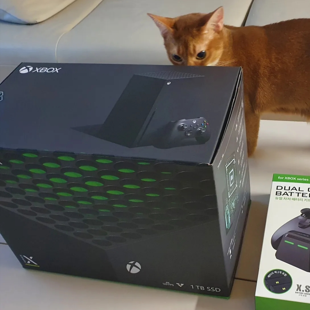 Xbox Series X (220V) 착용 스타일