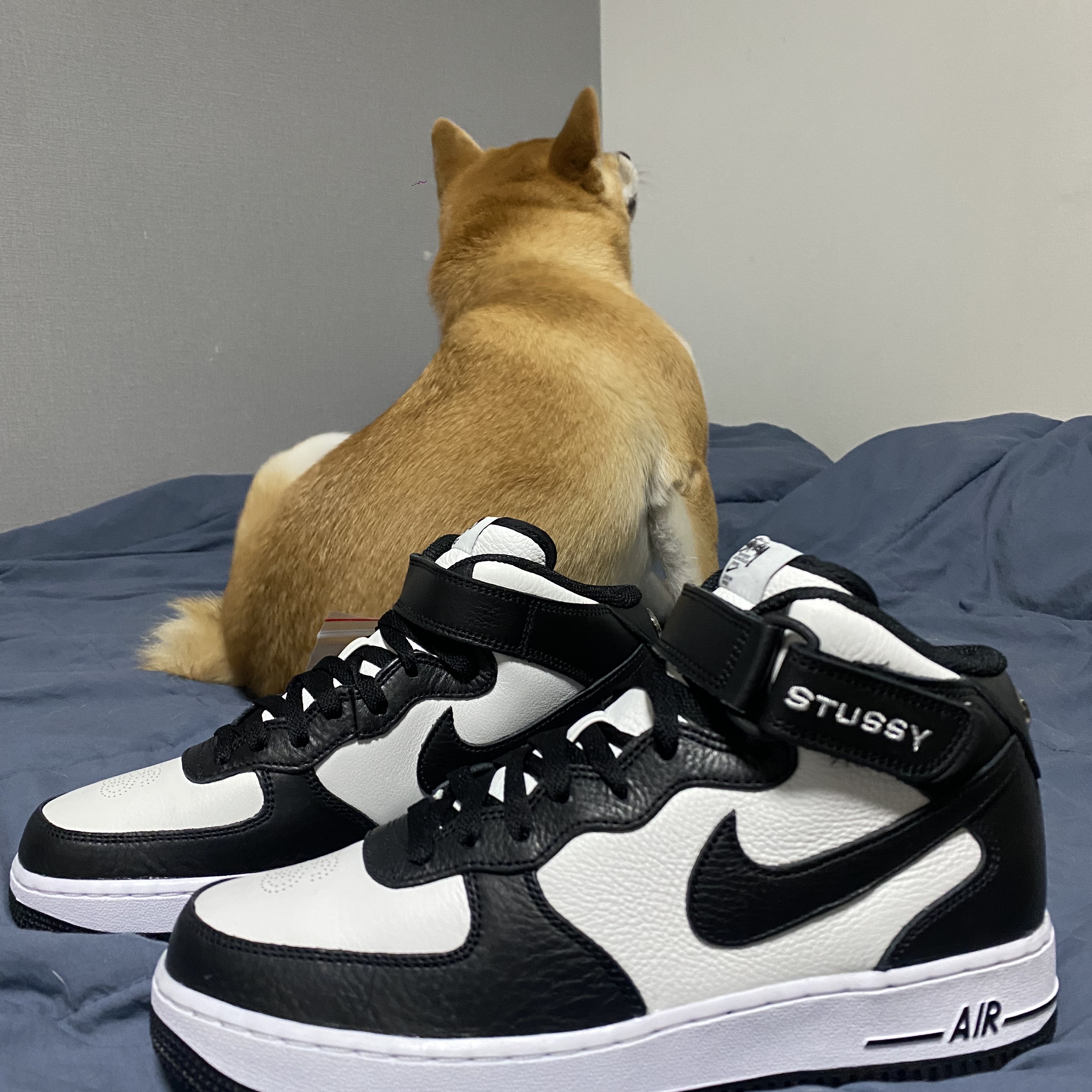 Nike x Stussy Air Force 1 '07 Mid SP Black and Light Bone 착용 스타일 - 2