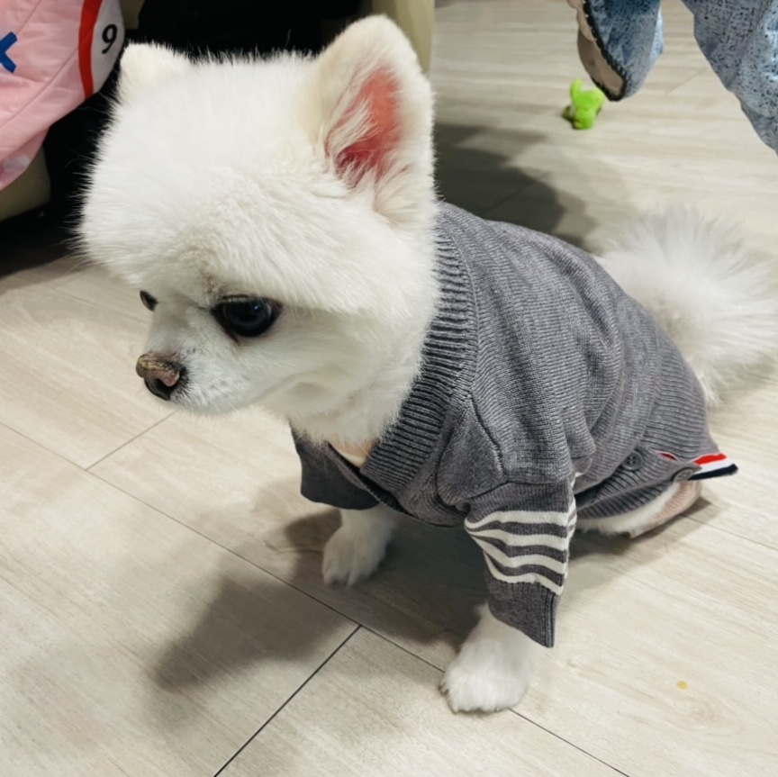 진수님의 스타일 - 1
