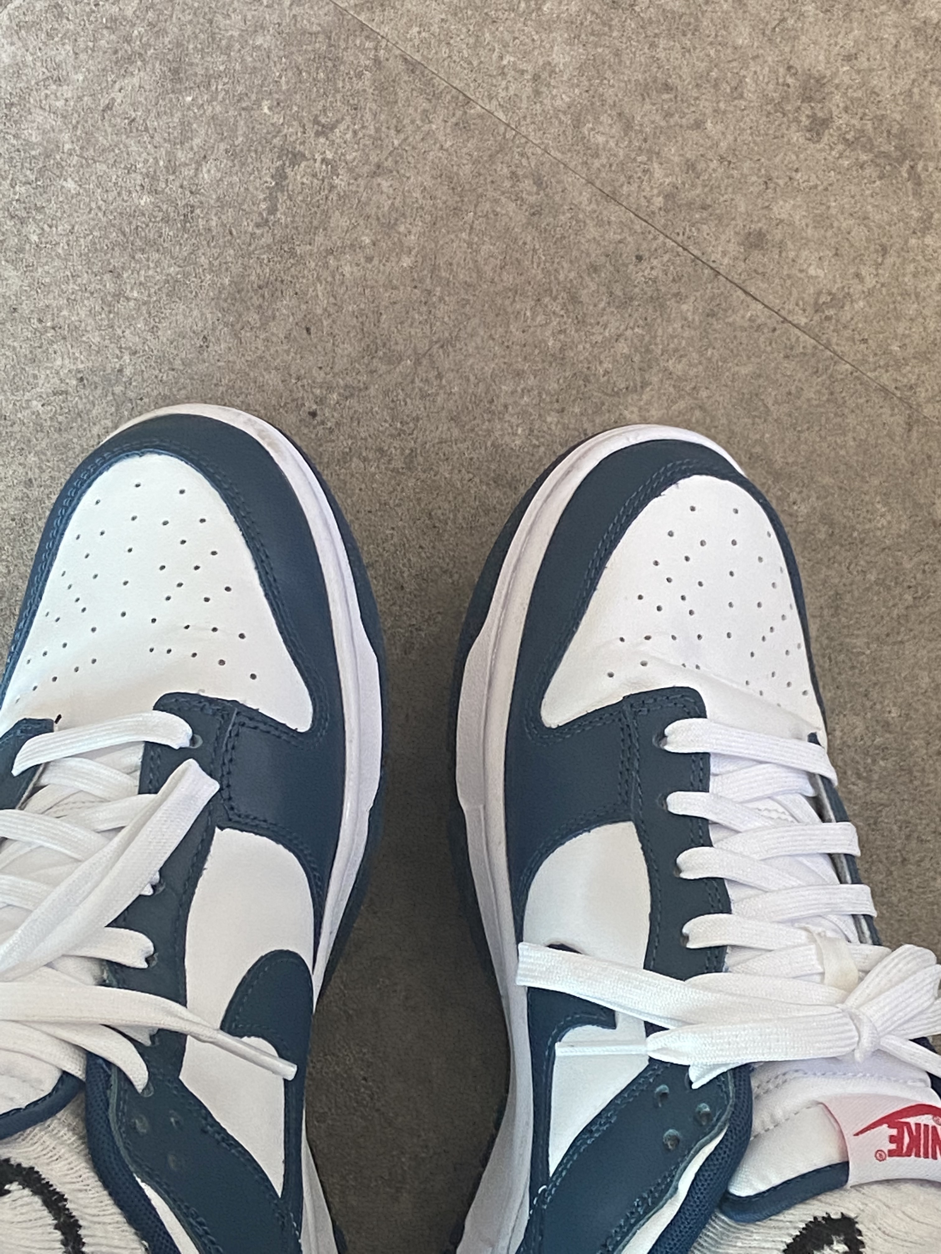 Nike Dunk Low Retro Valerian Blue 착용 스타일