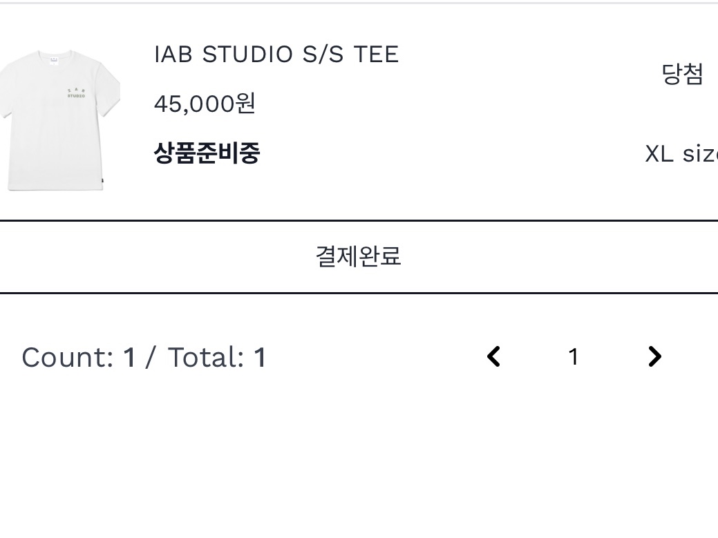 IAB Studio T-Shirt White Light Green 착용 스타일