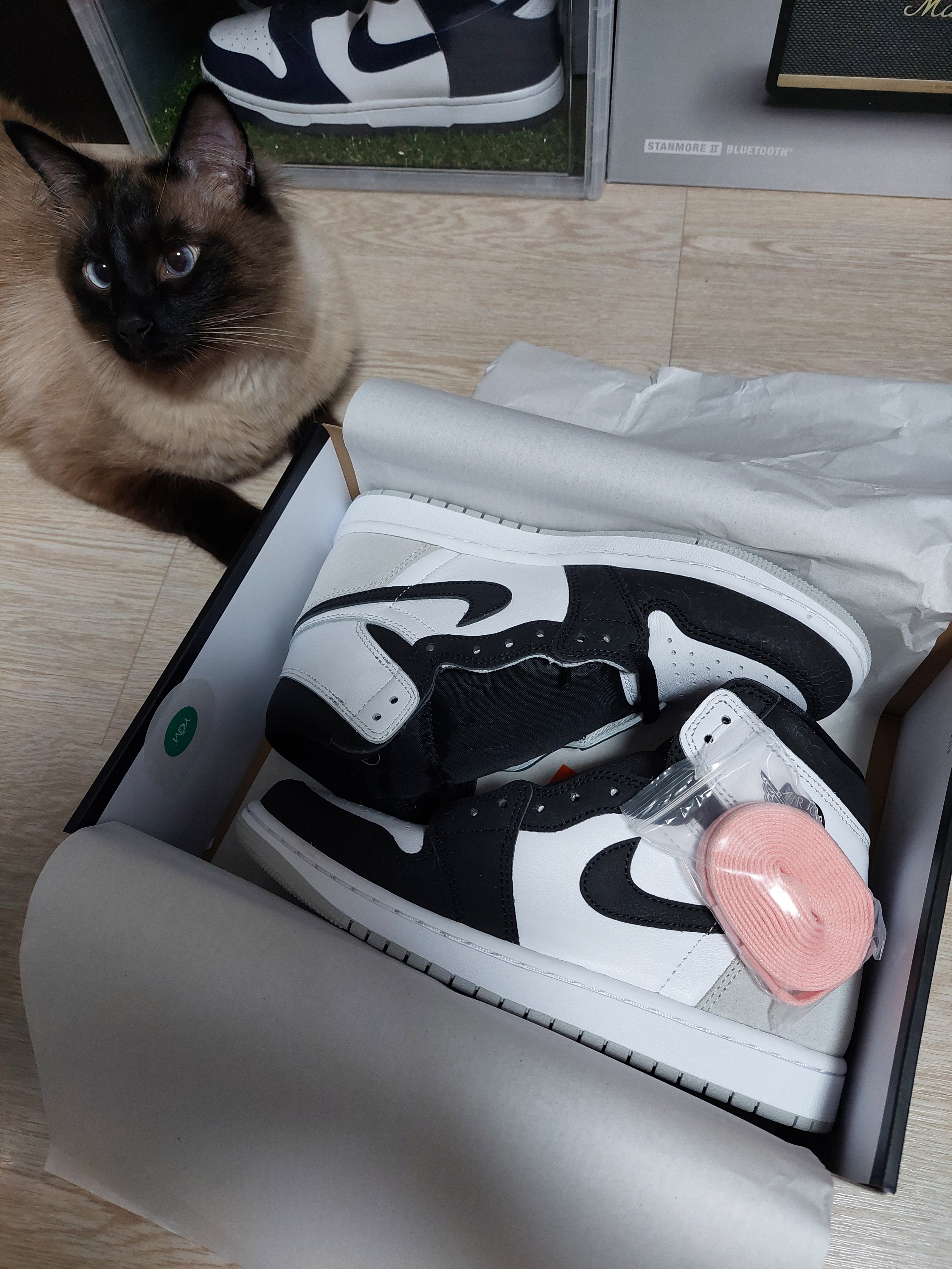 Jordan 1 Retro High OG Bleached Coral 착용 스타일 - 2