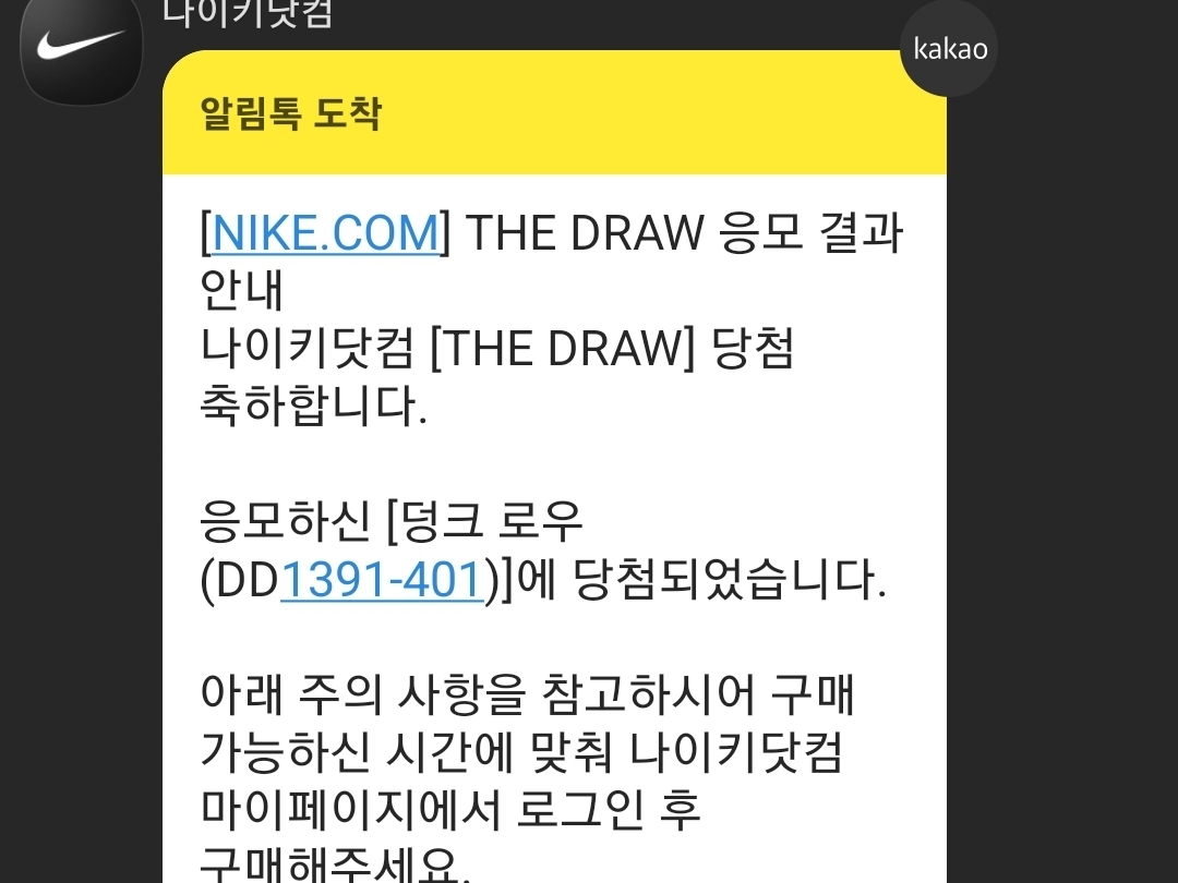 Nike Dunk Low Retro Racer Blue and White 착용 스타일