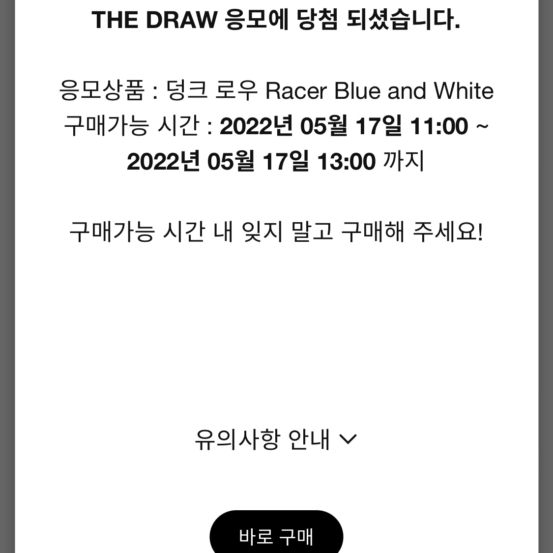 Nike Dunk Low Retro Racer Blue and White 착용 스타일