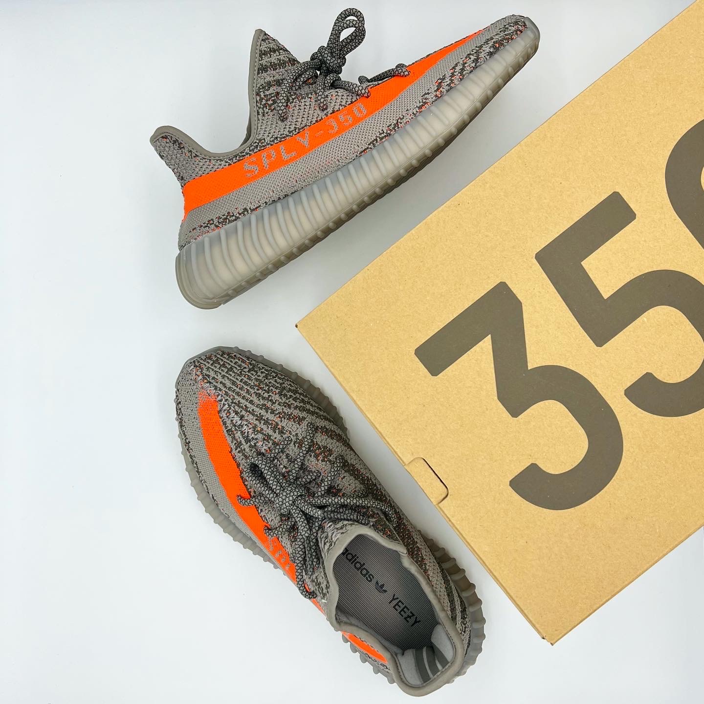 Adidas Yeezy Boost 350 V2 Beluga - Reflective 착용 스타일 - 5