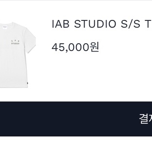 IAB Studio T-Shirt White Light Green 착용 스타일