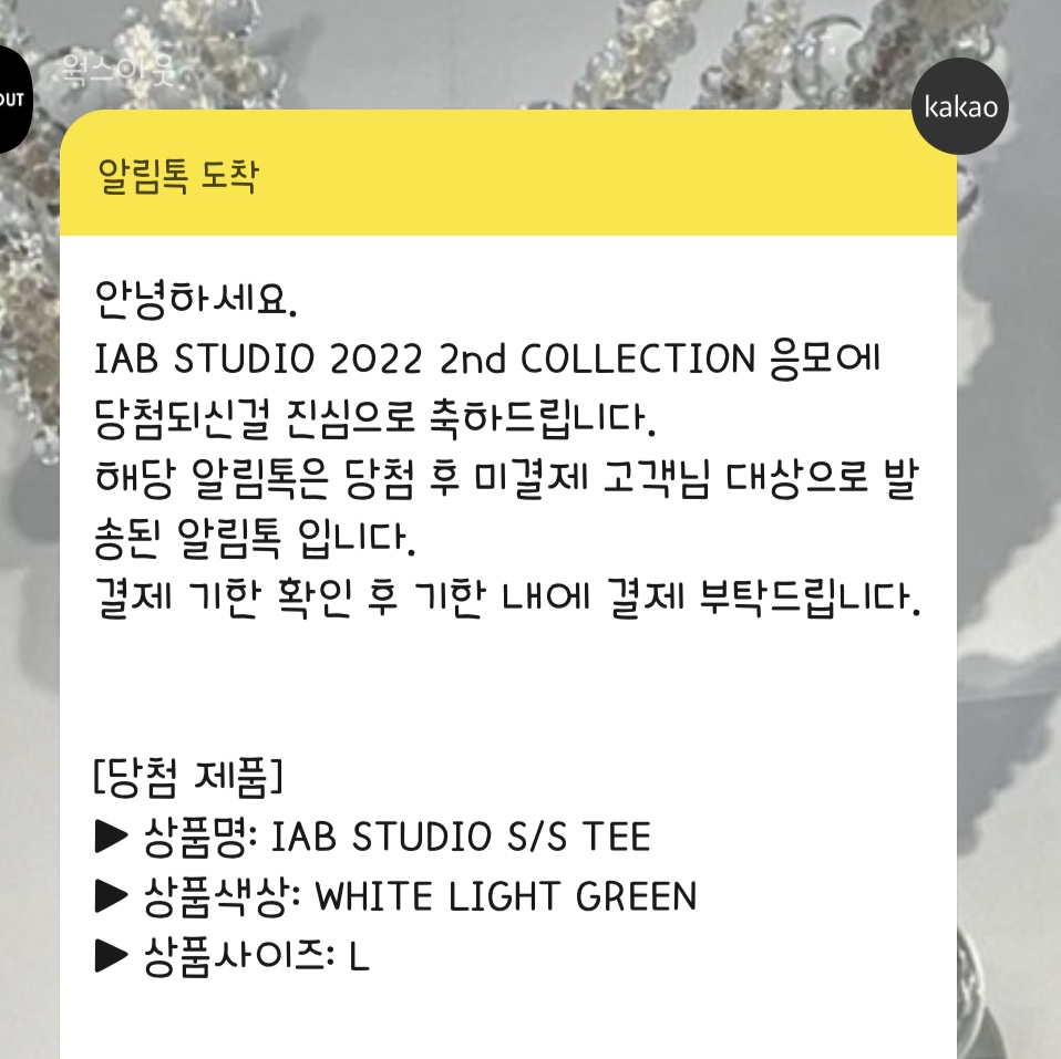 IAB Studio T-Shirt White Light Green 착용 스타일