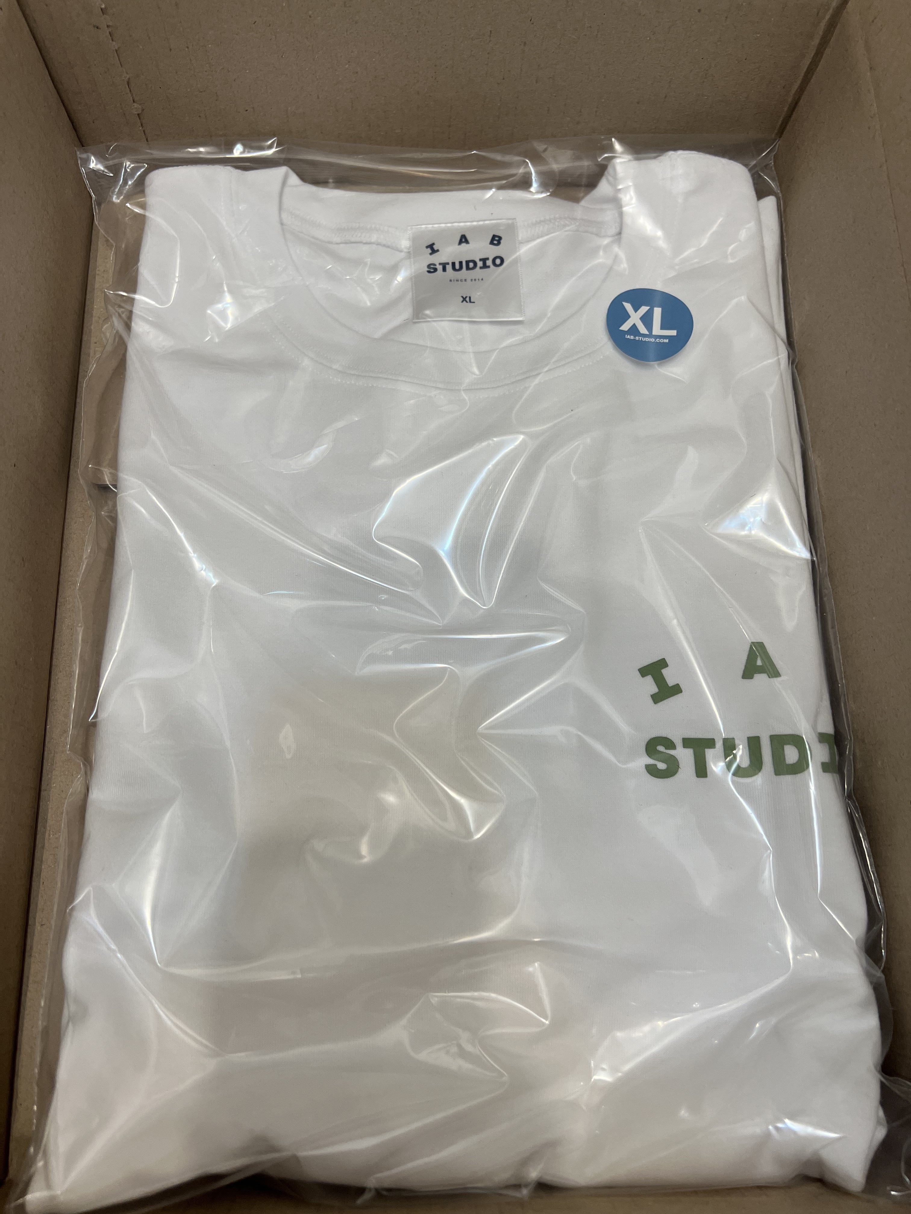 IAB Studio T-Shirt White Light Green 착용 스타일