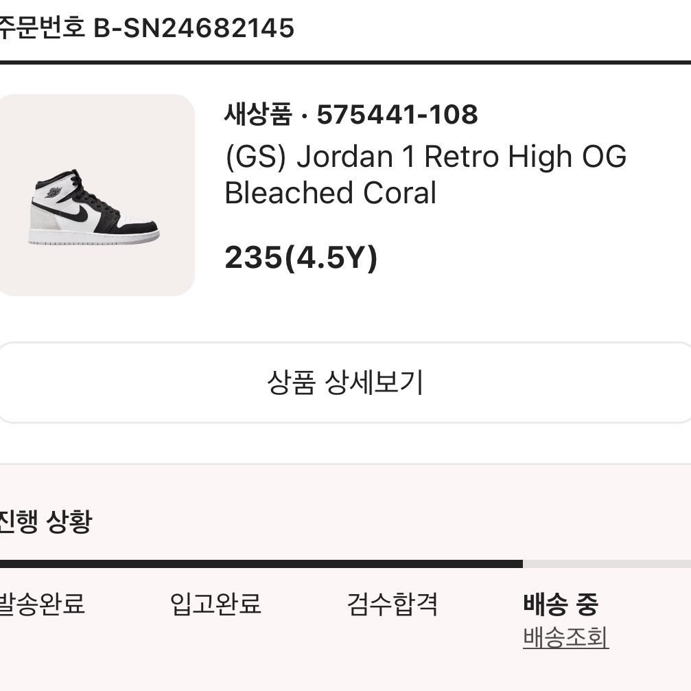 Jordan 1 Retro High OG Bleached Coral 착용 스타일