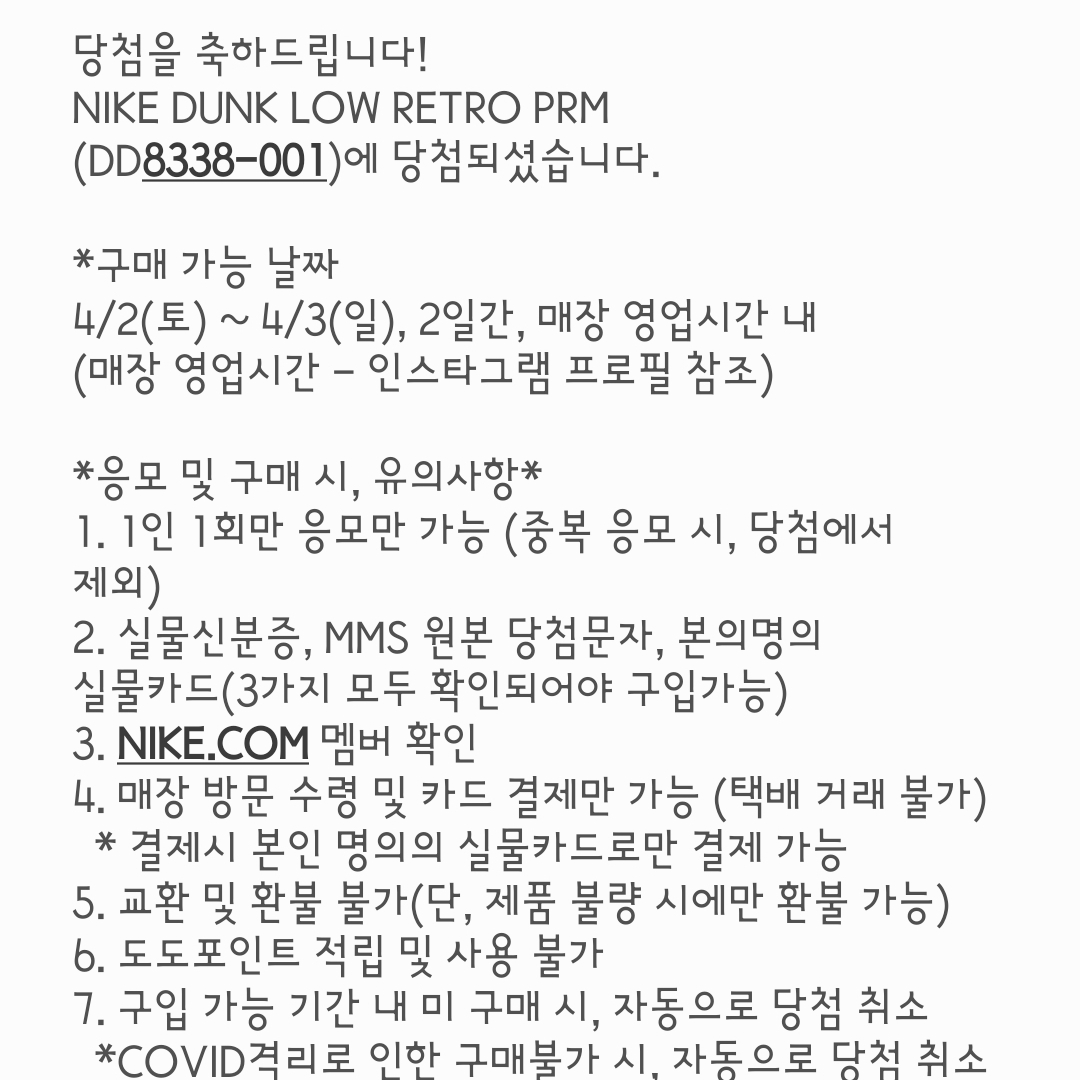 Nike Dunk Low Retro PRM Vast Grey 착용 스타일 - 1