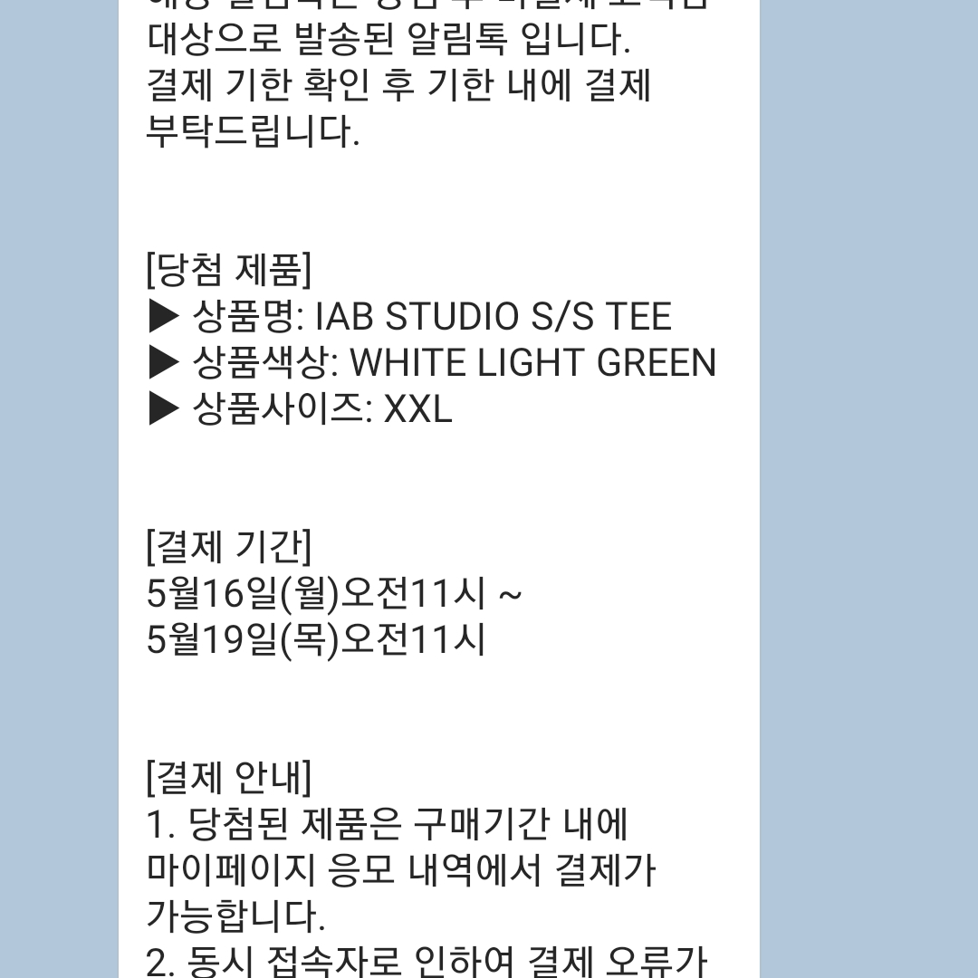 IAB Studio T-Shirt White Light Green 착용 스타일