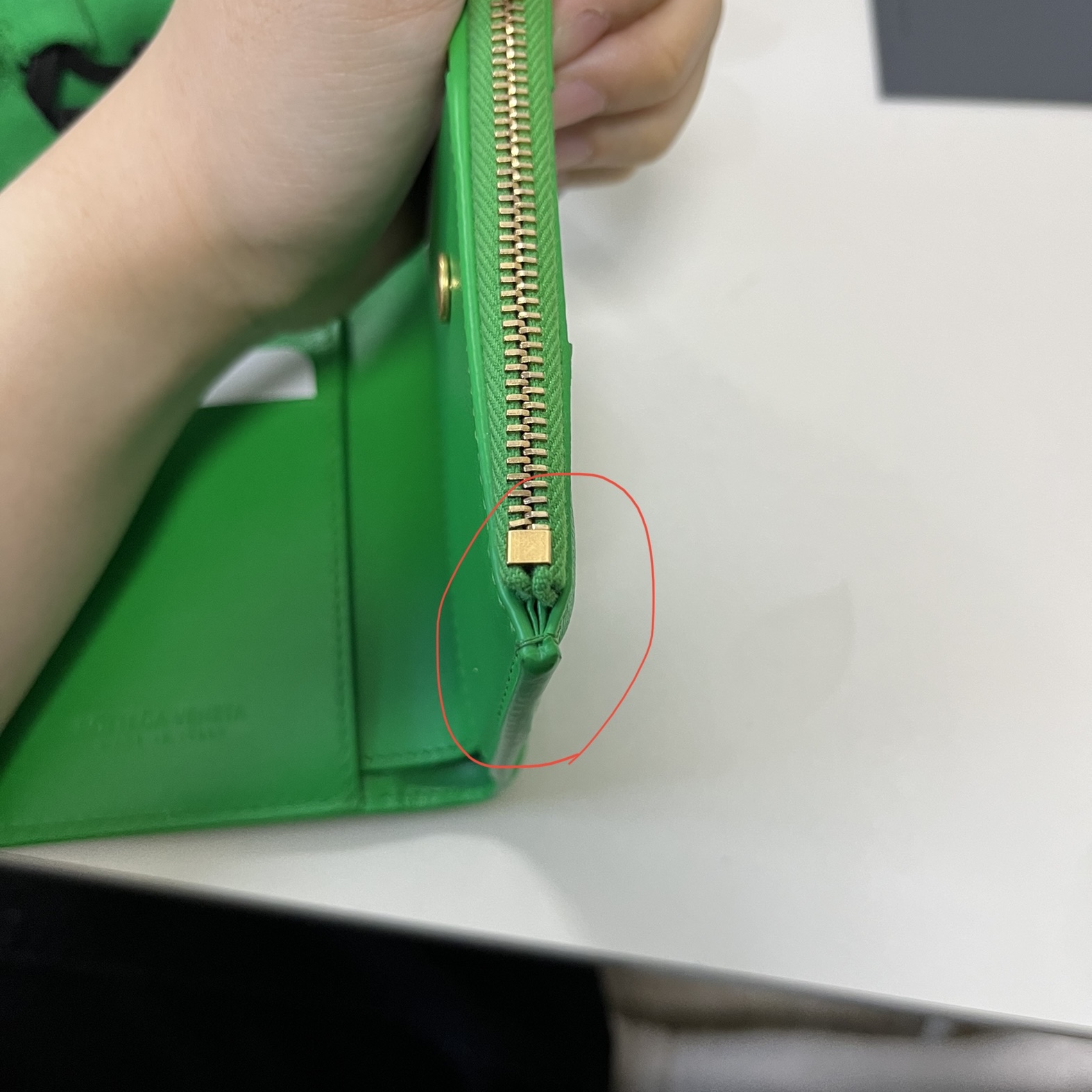 Bottega Veneta Bi-Fold Zip Wallet Parakeet 착용 스타일 - 2