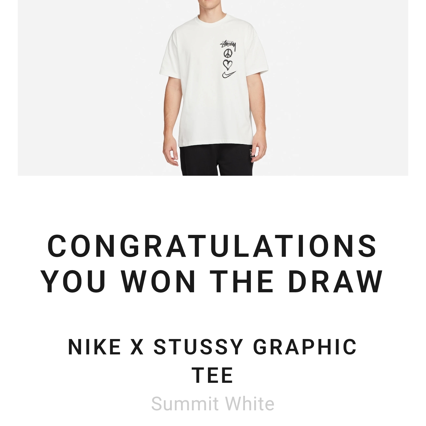 Nike x Stussy NRG RA T-Shirt Summit White (DM4942-121) 착용 스타일