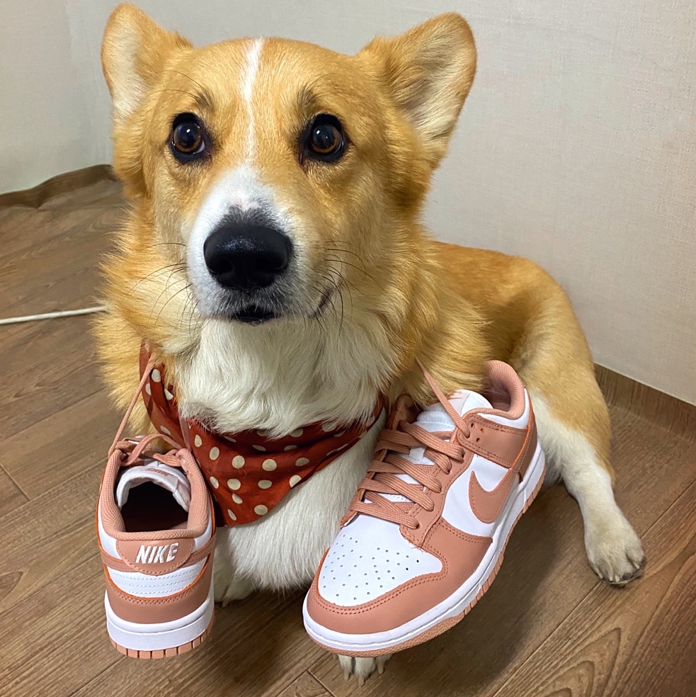 (W) Nike Dunk Low Rose Whisper 착용 스타일