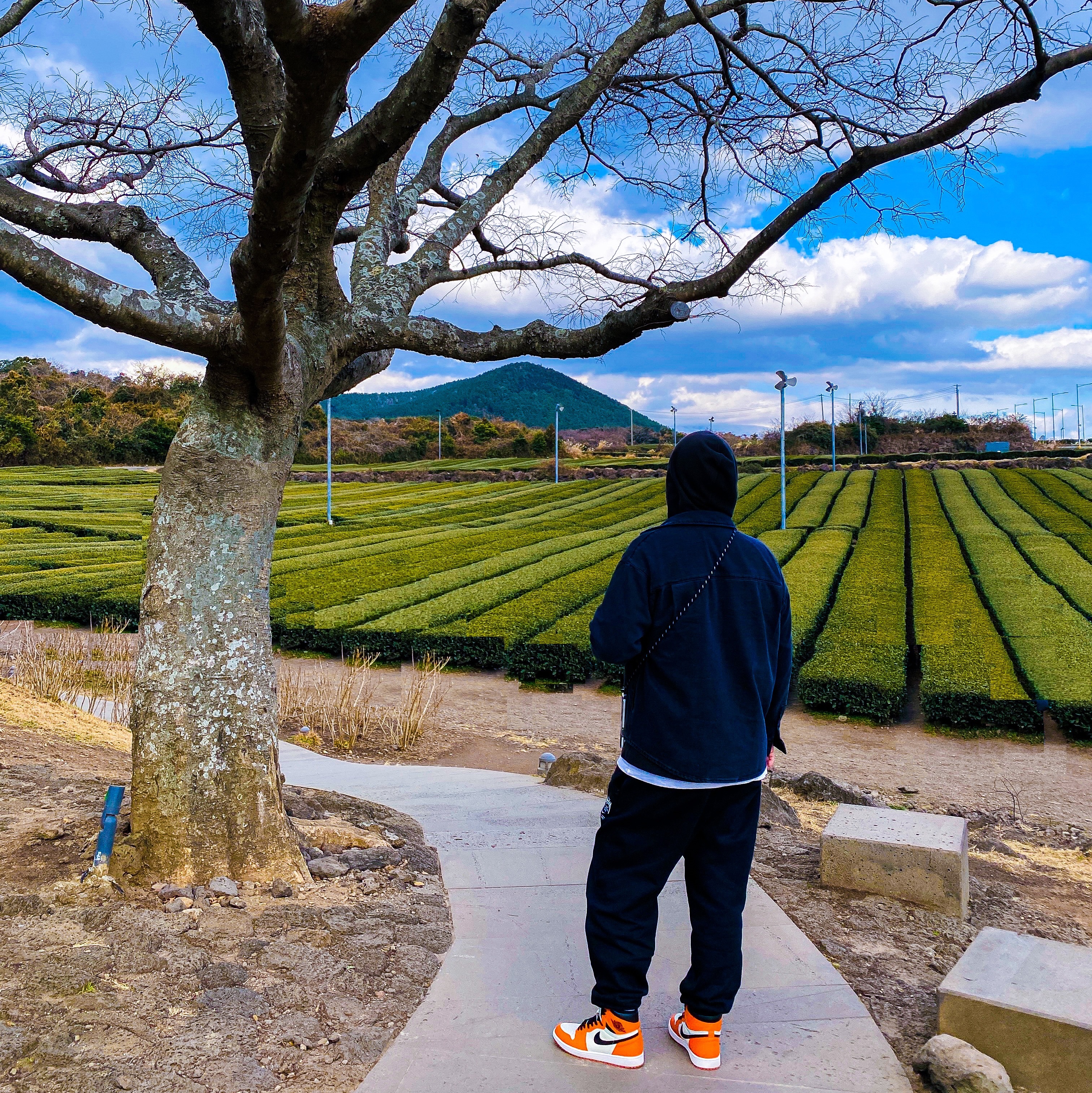 Jordan 1 Retro High OG Reverse Shattered Backboard, Nike x Stussy NRG ZR Fleece Pants Black - Asia 착용 스타일