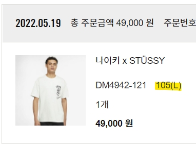 Nike x Stussy NRG RA T-Shirt Summit White (DM4942-121) 착용 스타일