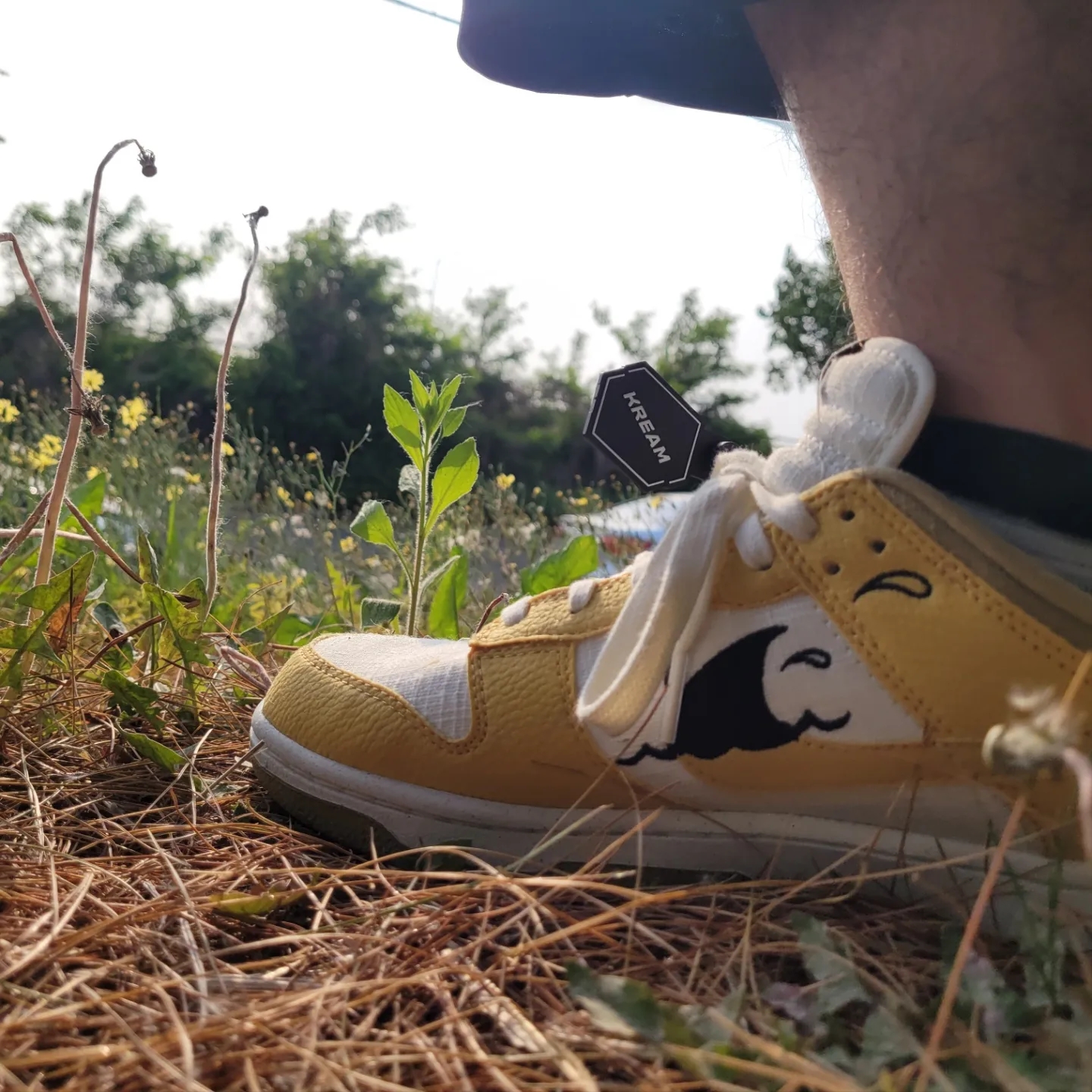 Nike Dunk Low Retro SE Next Nature Nike Sun Club 착용 스타일 - 2