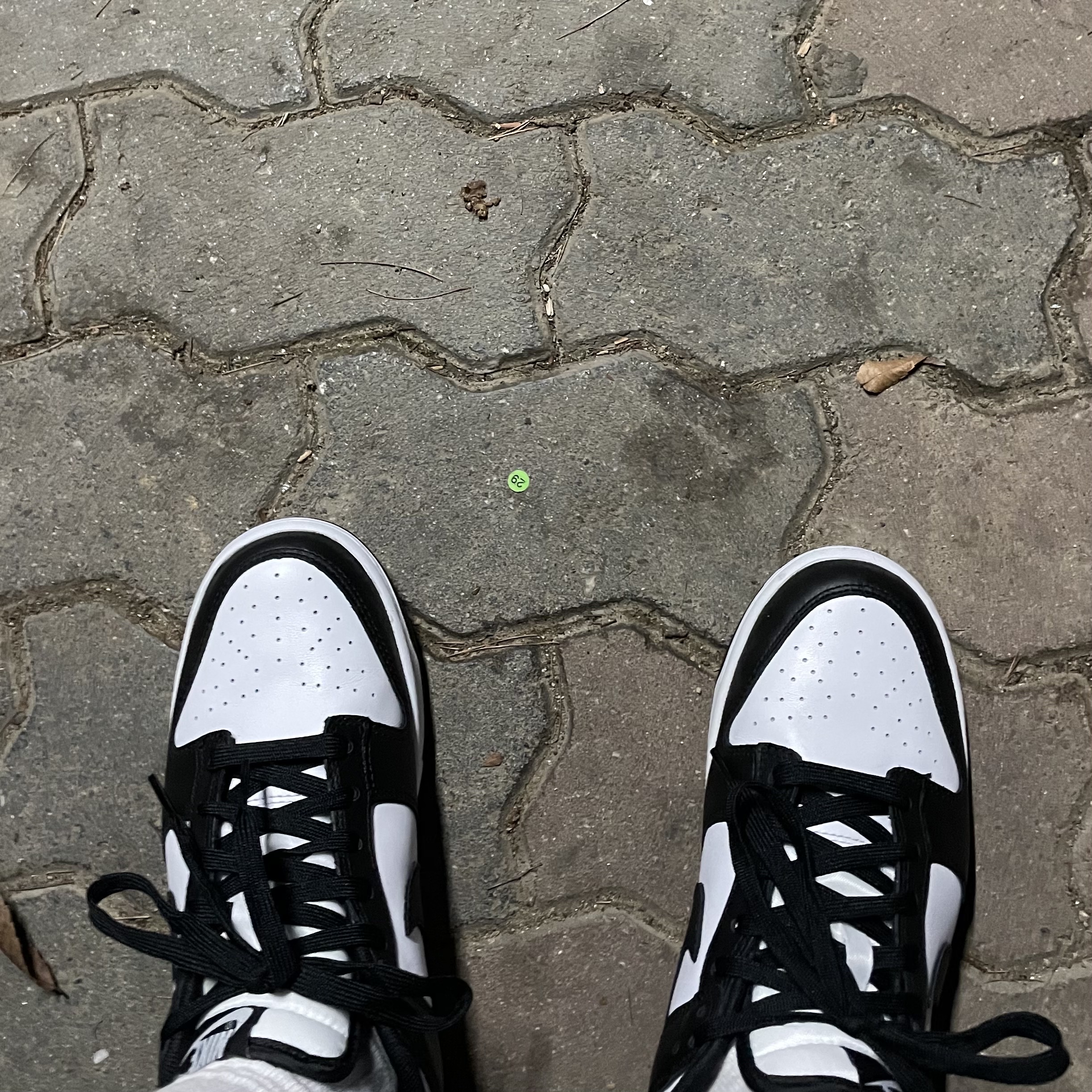 Nike Dunk Low Retro Black 착용 스타일