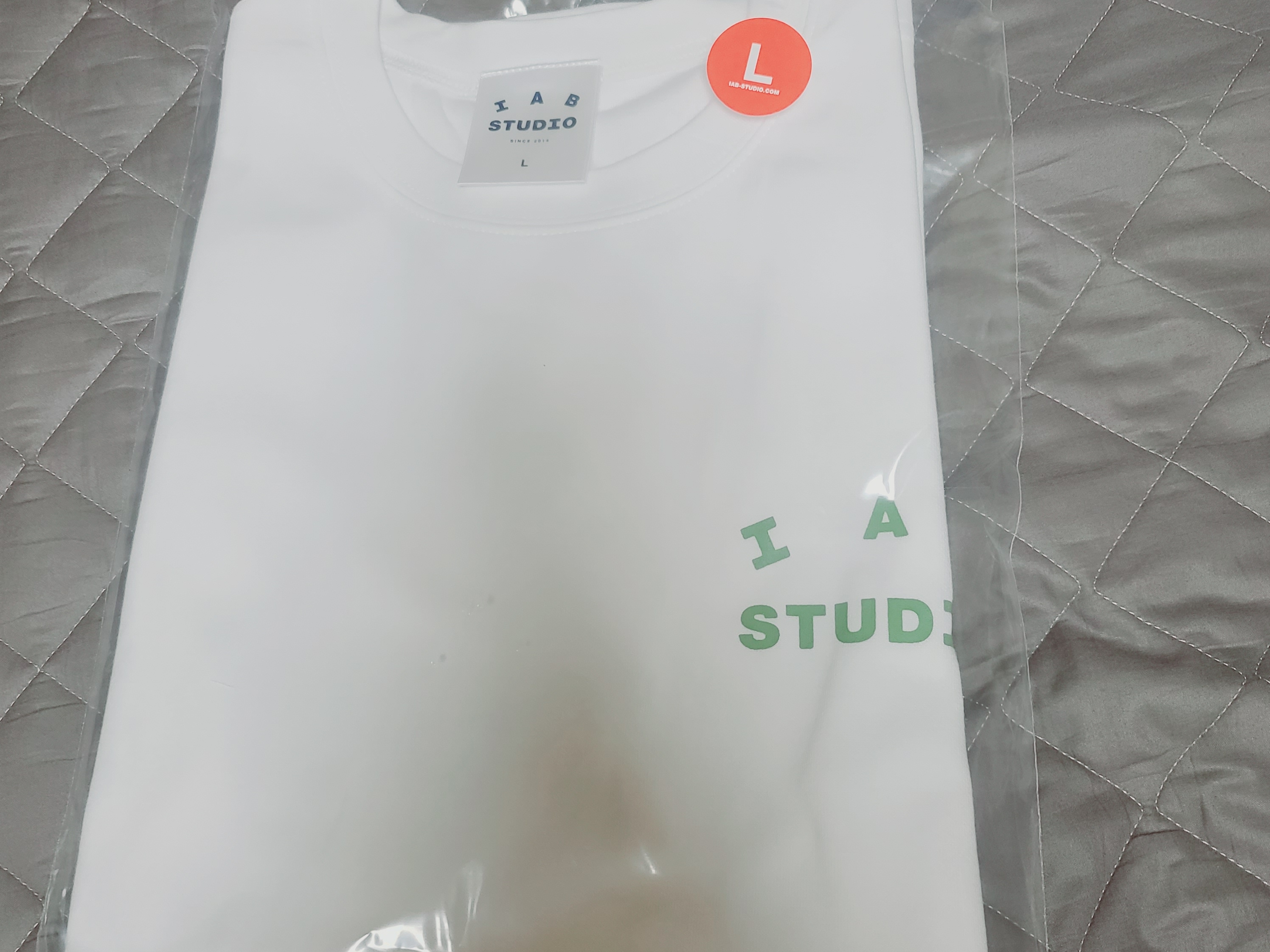 IAB Studio T-Shirt White Light Green 착용 스타일