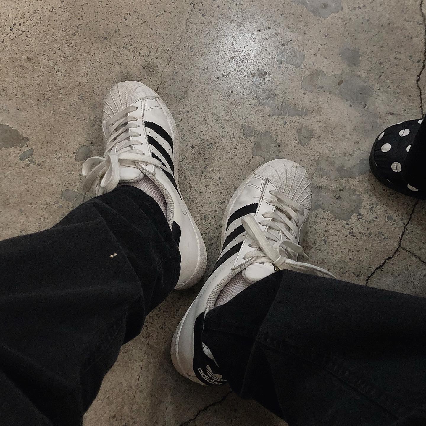 Adidas Superstar White Black 착용 스타일