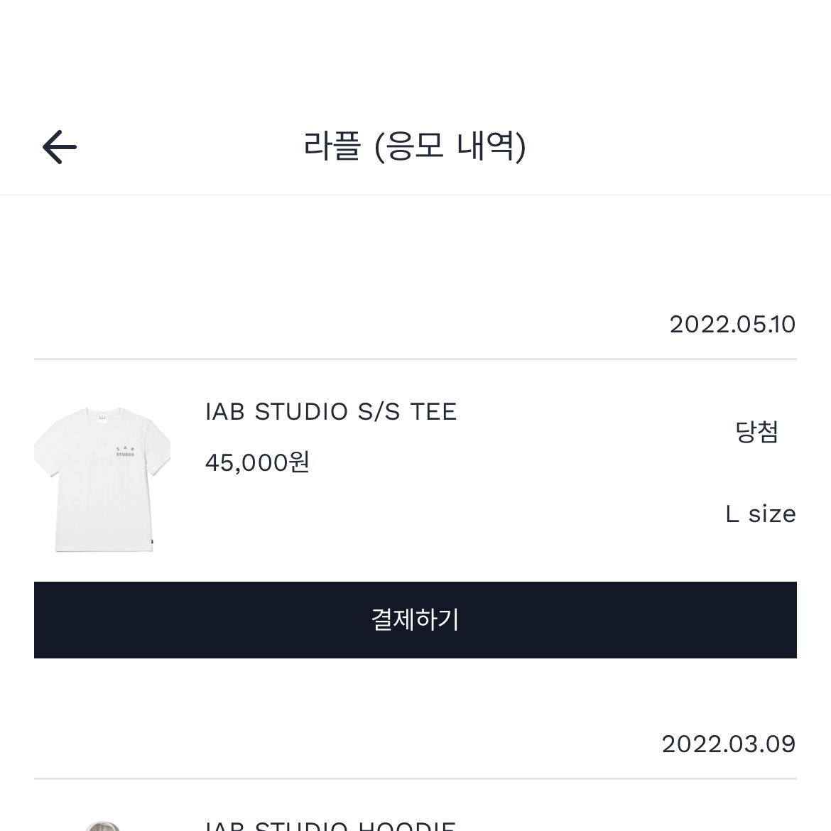 IAB Studio T-Shirt White Light Green 착용 스타일 - 2