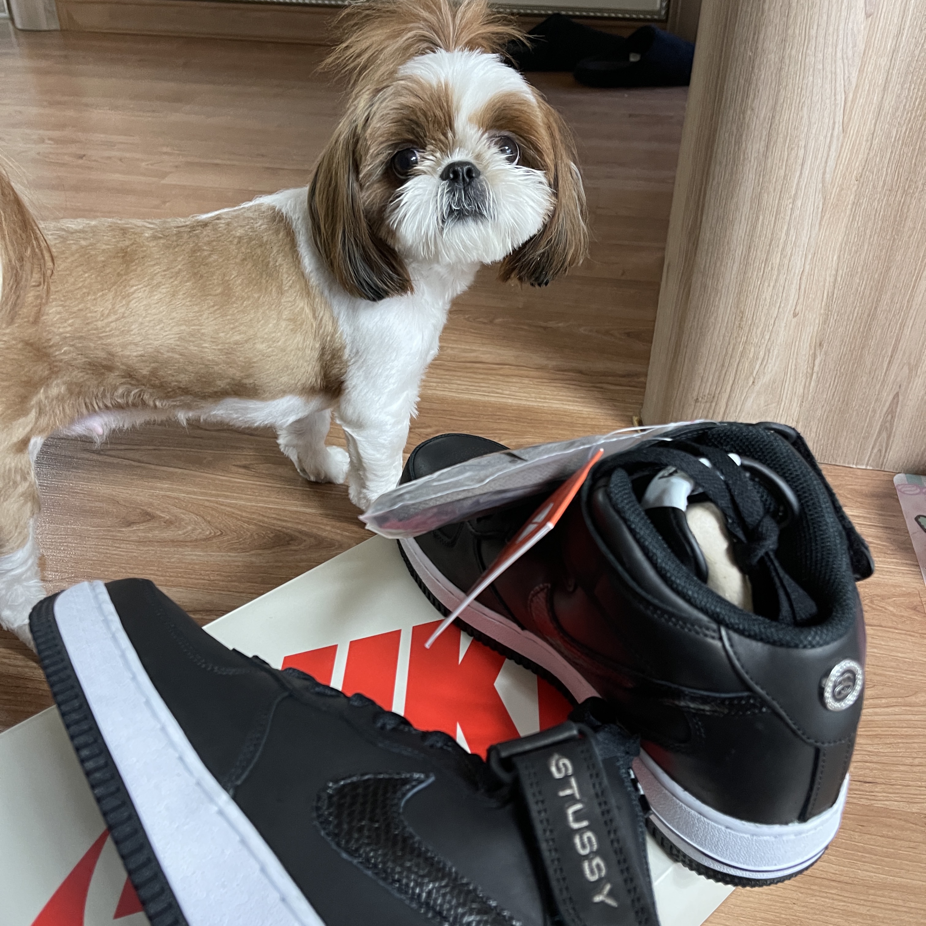 Nike x Stussy Air Force 1 '07 Mid SP Black 착용 스타일 - 1